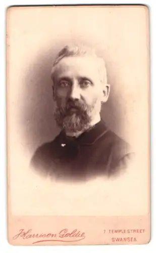 Fotografie Harrison Goldie, Swansea, Temple Street 7, Porträt eines Mannes mit Bart
