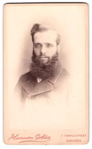 Fotografie Harrison Goldie, Swansea, Temple Street 7, Porträt eines bärtigen Mannes