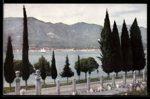 AK Cisano /Lago di Garda, Panorama