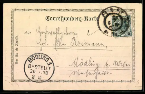 AK Riva, Blick vom Hotel Riva auf den See