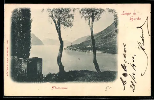 AK Malcesine /Lago di Garda, Veduta generale