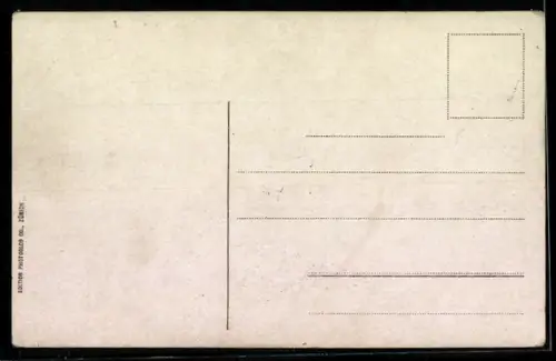 AK Torbole /Lago di Garda, Teilansicht mit Rochetta