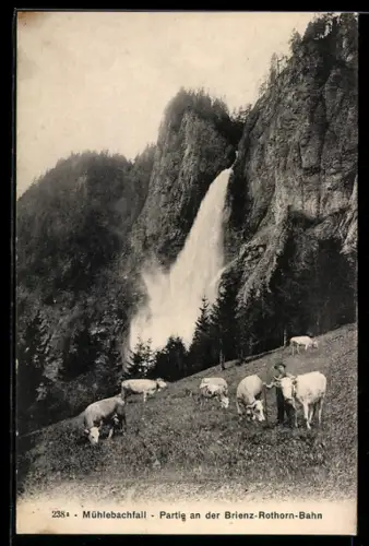 AK Mühlebachfall /Brienz-Rothorn-Bahn, Ortspartie mit Kühen u. Wasserfall