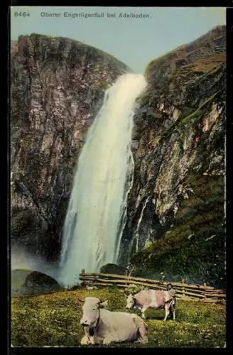 AK Adelboden, Oberer Engstligenfall, Kühe