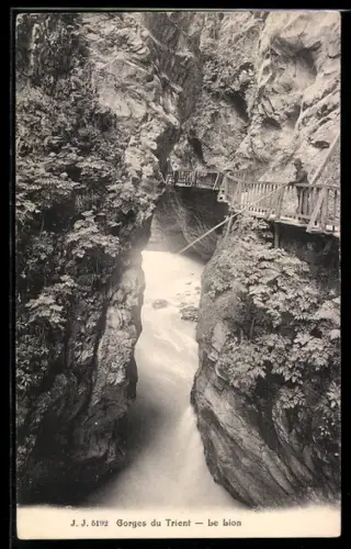 AK Gorges du Trient, Le Lion, Wasserfall