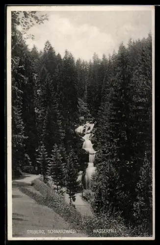 AK Triberg /Schwarzwald, Wasserfall