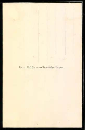 AK Flaamsdalen, Rjoanefoss, Wasserfall