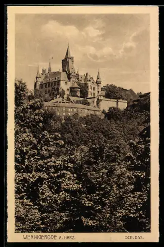 AK Wernigerode a. Harz, Schloss Wernigerode mit anliegendem Wald