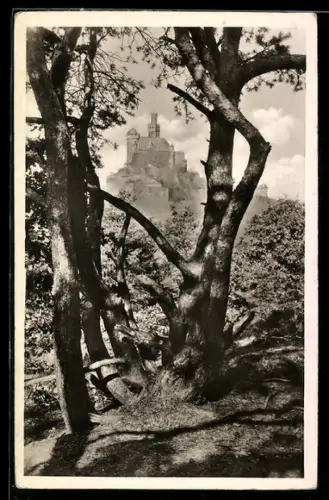 AK Braubach /Rhein, Blcik auf die Marksburg