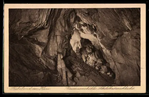 AK Rübeland im Harz, Baumannshöhle, Schildkrötenschlucht