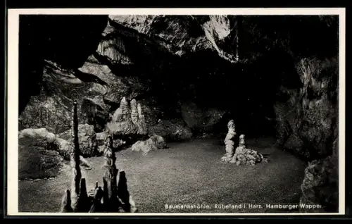 AK Rübeland i. Harz, Baumannshöhle, Hamburger Wappen