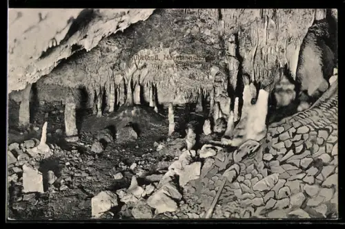 AK Rübeland (Harz), Hermannshöhle - Der Wald