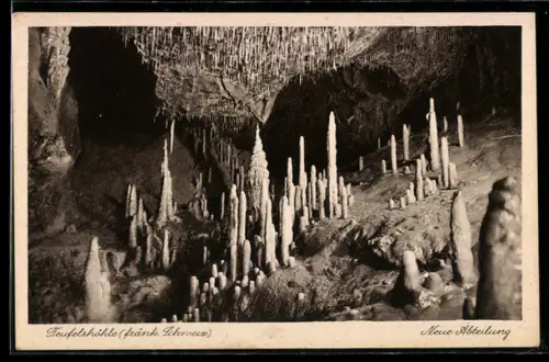 AK Fränkische Schweiz, Die Teufelshöhle, Neue Abteilung