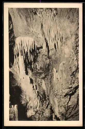 AK Attendorner Tropfsteinhöhle, Der Palmenhain