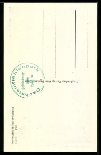 AK Dachstein-Rieseneishöhle, Eisvorhang