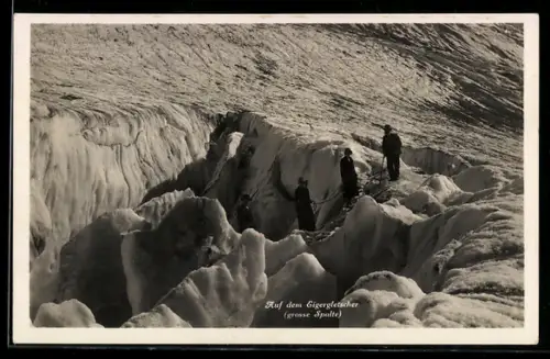 AK Bersteiger auf dem Eigergletscher, grosse Spalte