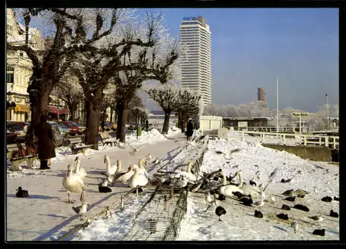 AK Travemünde, Ostseeheilbad, Strassenpartie mit Schwänen im Winter