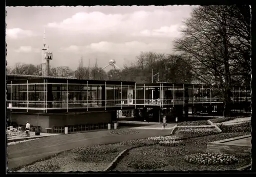 AK Brüssel, Weltausstellung 1958, Ausstellungsgelände, Blick zum Atomium