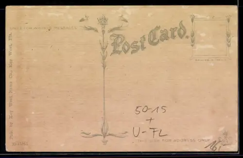 AK Key West, FL, Green Turtle