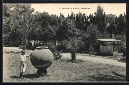 AK Tipaza, Ruines Romaines