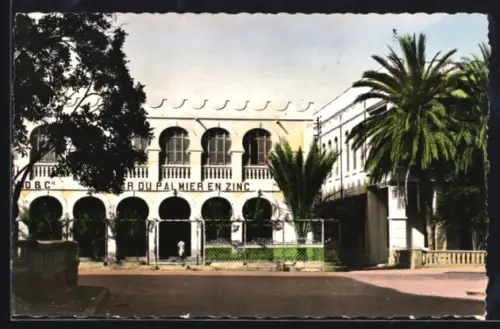 AK Djibouti, Le Palmier en zinc