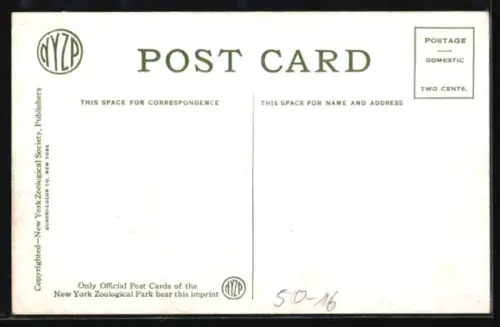 AK New York Zoological Park, Rocking Stone Restaurant