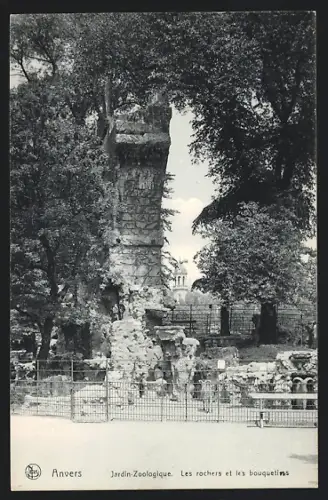 AK Anvers, Jardin Zoologique, Les rochers e les bouquetins