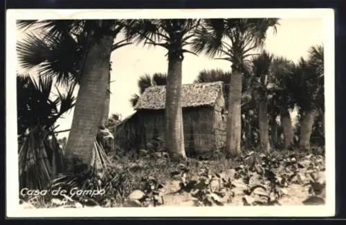 AK Casa de Campo, Panorama