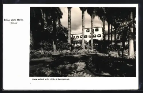 AK Funchal, Bella Vista Hotel, Palm Avenue