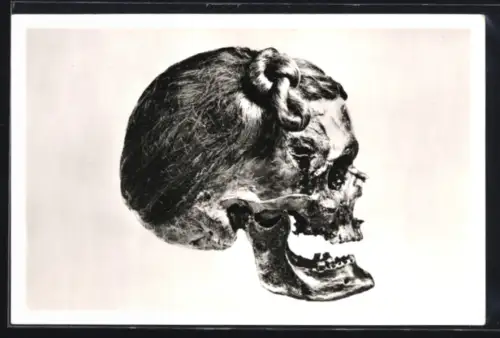 AK Osterby /Eckernförde, Kopf mit suebischem Haarknoten