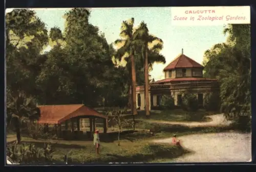 AK Calcutta, Scene in Zoological Garden