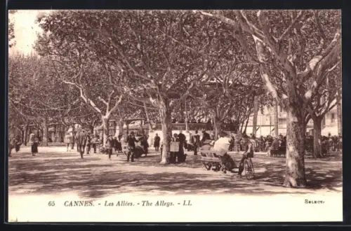 AK Cannes, Les Allées animées sous les arbres majestueux