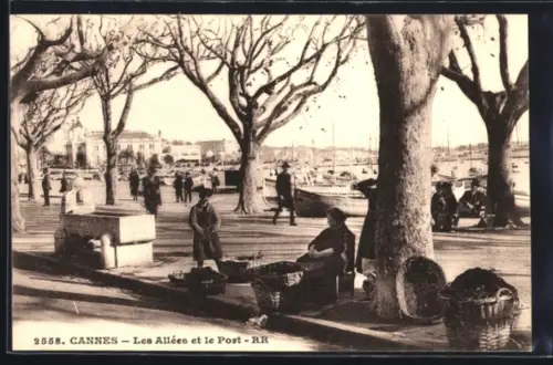 AK Cannes, Les Allées et le Port