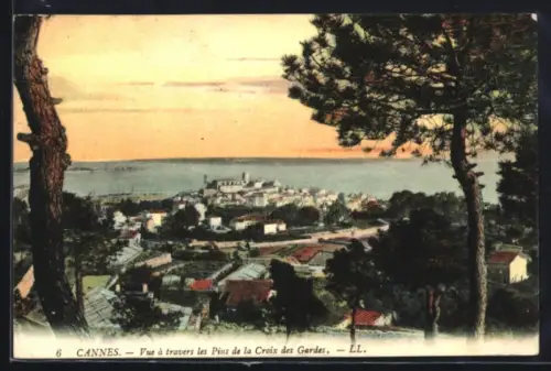 AK Cannes, Vue à travers les Pins de la Croix des Gardes