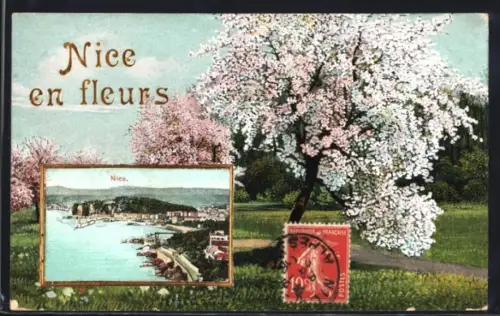 AK Nice, Nice en fleurs avec vue sur le port et arbres en fleurs