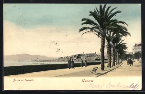 AK Cannes, Promenade du Bd. de la Croisette avec palmiers et vue sur la mer