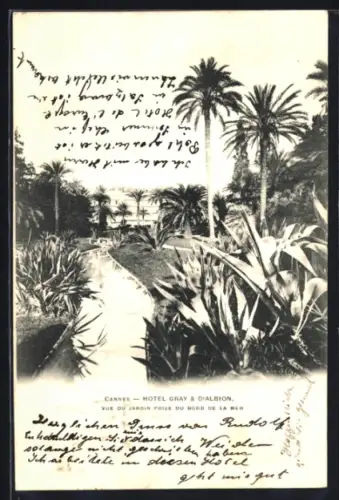AK Cannes, Vue du jardin de l`Hôtel Gray d`Albion avec palmiers et végétation luxuriante