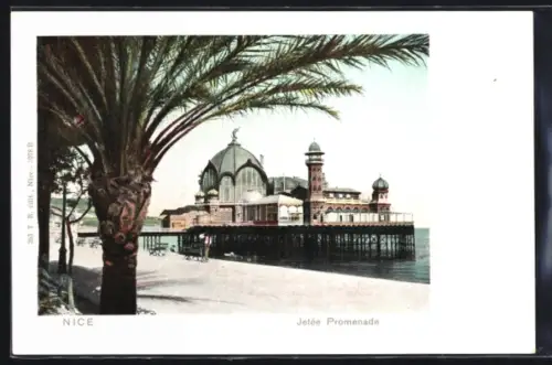 AK Nice, Jetée Promenade et vue sur la mer avec palmiers