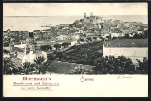 AK Cannes, Panorama