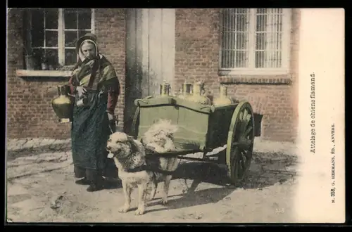 AK Milchverkäuferin neben ihrem Karren, Hundegespann