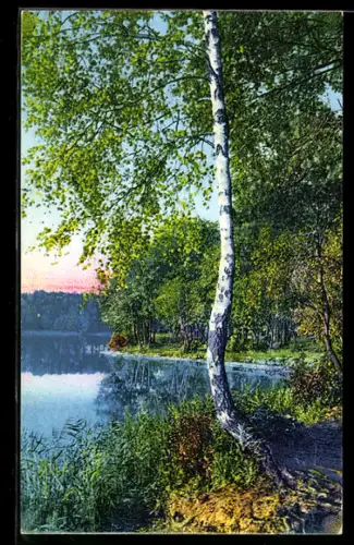 AK Photochromie NR 502: Baum an einem See