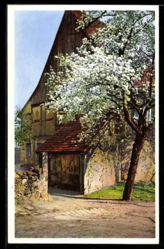 AK Photochromie NR 3020: blühender Baum vor einem Haus