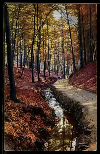 Künstler-AK Photochromie Nr. 279-4334: Weg im herbstlichen Wald