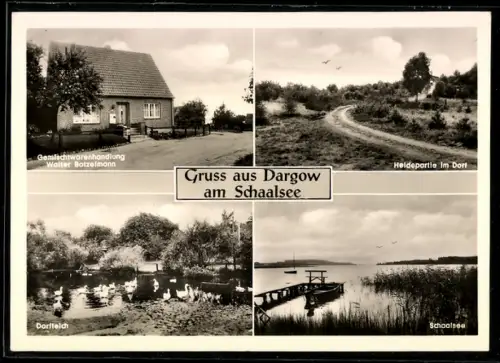 AK Dargow, Gemischtwarenhandlung v. Walter Botzelmann, Schaalsee und Dorfteich