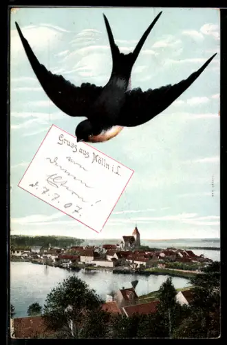 AK Hannover, Strassenpartie mit Parkanlage, Schwalbe