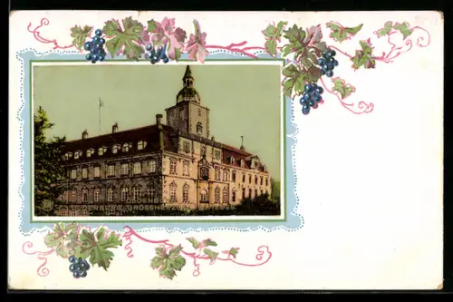 Lithographie Oldenburg /Oldenburg, Grossherzogliches Schloss, Weintrauben, Passepartout