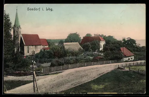 AK Seedorf i. Lbg, Kirche mit Strassenpartie