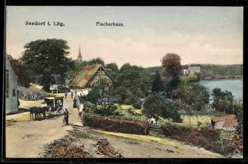AK Seedorf i. Lbg., Fischerhaus mit Strassenpartie