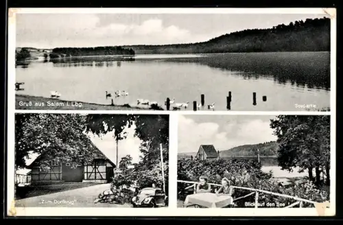 AK Salem i. Lbg., Gasthaus Zum Dorfkrug, Blick auf den See, Uferpartie