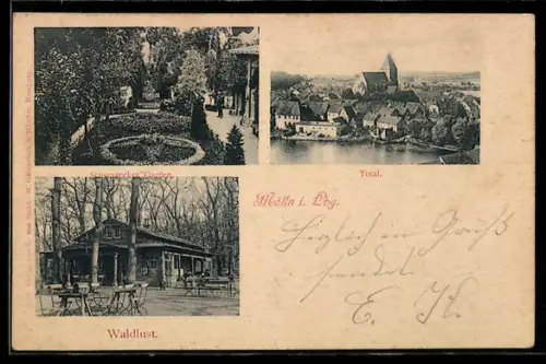 AK Mölln, Schwaarckes Garten, Waldlust, Totale